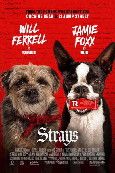 Strays (2023) WEBRip 480p 720p 1080p