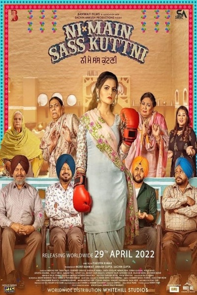 Ni Main Sass Kuttni (2022) Punjabi WEBRip 720p 480p