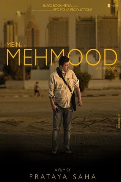 Mein Mehmood (2022) Hindi WEBRip 1080p 720p 480p