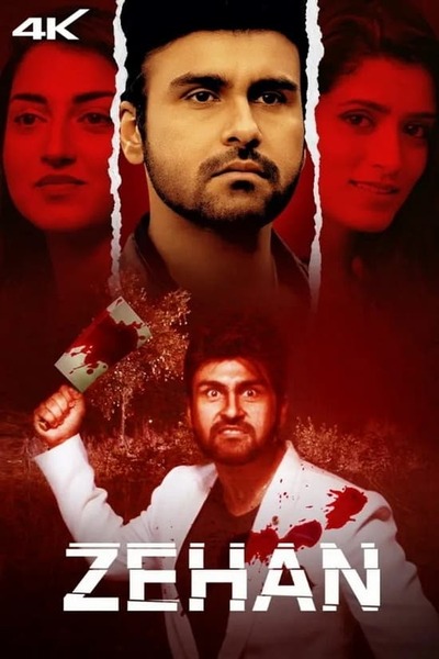 Zehan (2024) Hindi WEBRip 480p 720p 1080p