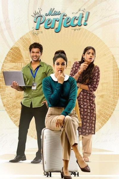 Miss Perfect S01 (2024) Hindi Series 480p 720p