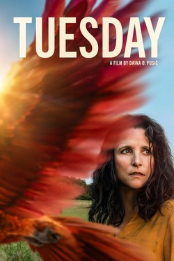 Tuesday (2023)