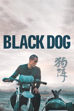 Black Dog (2024)